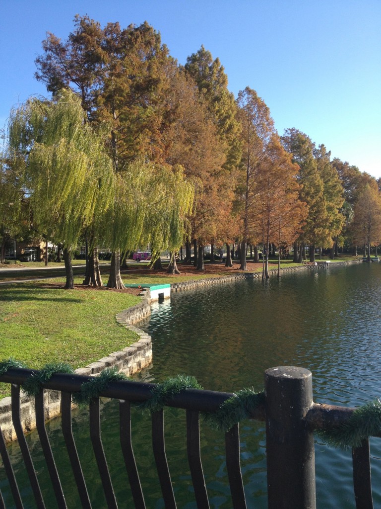 Lake Eola Run Lake Eola Run