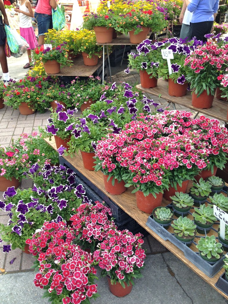 Winter Park Farmers Market flowers