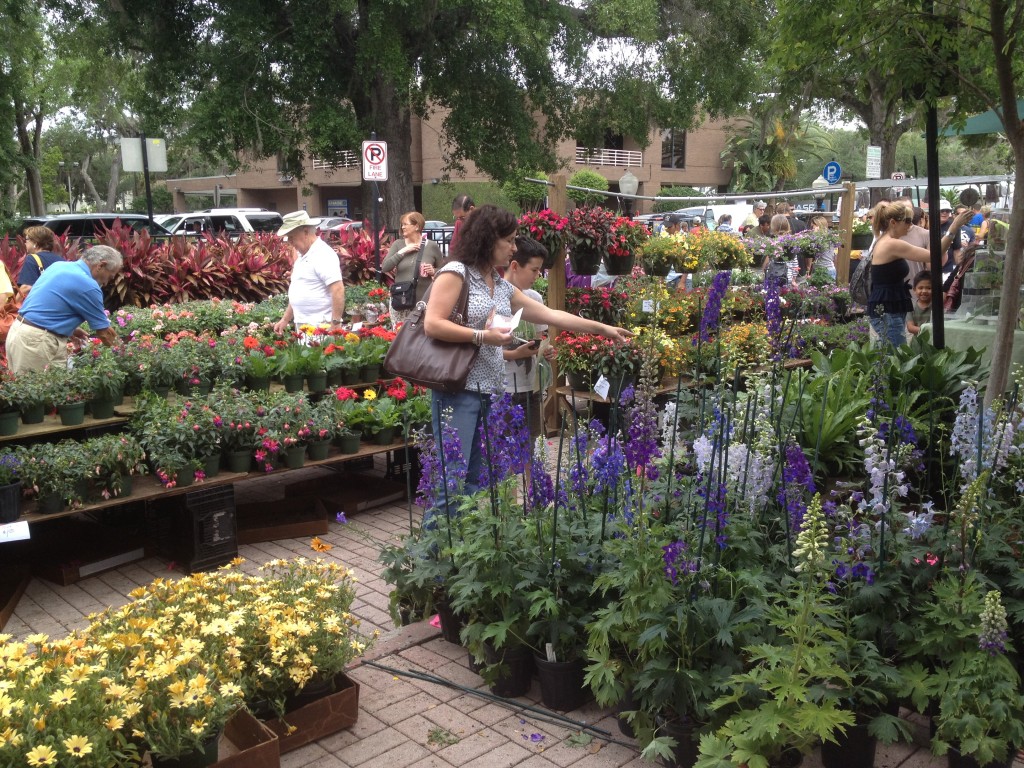 Winter Park Farmers Market flowers Winter Park Farmers Market flowers