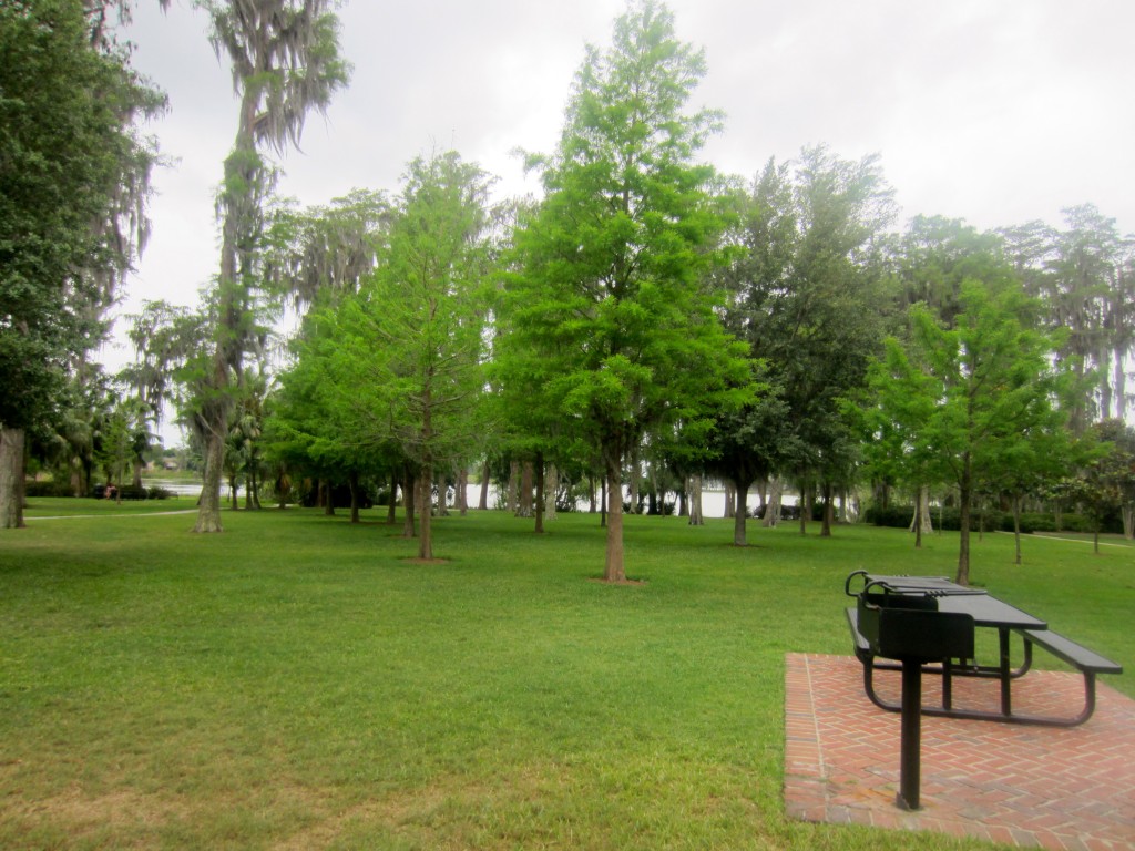 Cypress Grove Park Picnic Table Cypress Grove Park Picnic Table