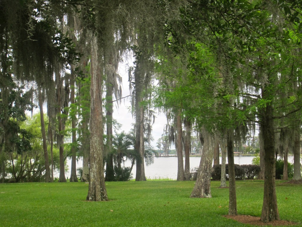 Cypress Grove Park backyard Cypress Grove Park backyard