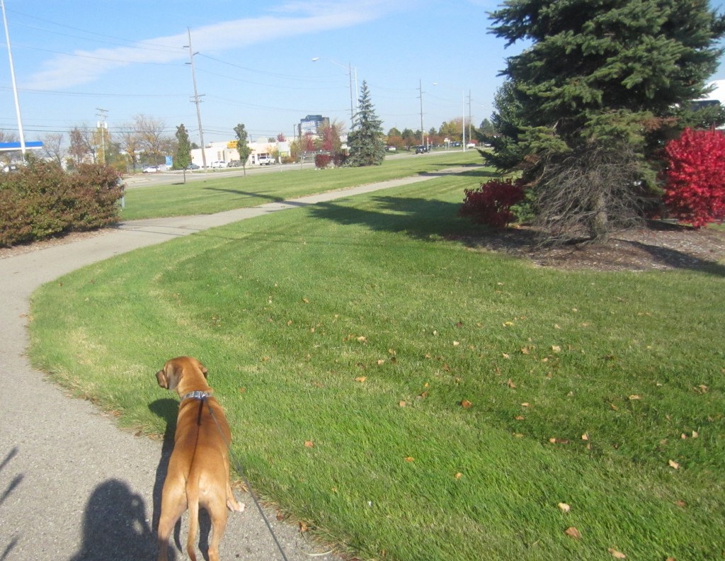 Walking Roadie Outside Hotel