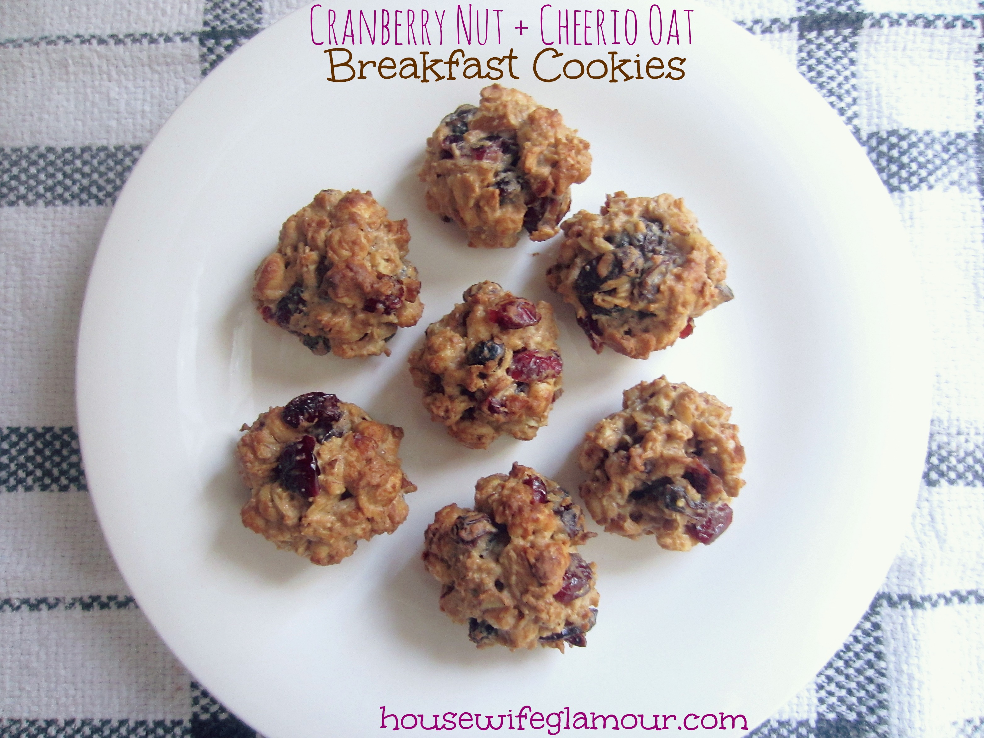 Cranberry Nut Cheerio Oat Breakfast Cookies