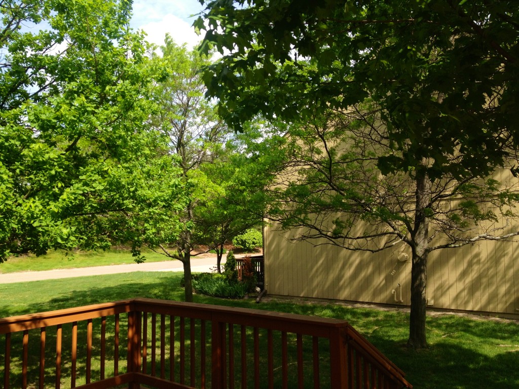 spring backyard